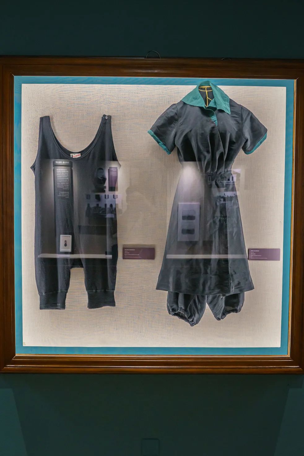 魔都自然博物馆,魔都的博物馆真的很有看头