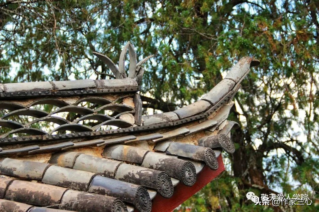 万一龙：以高维智慧，布世间大爱