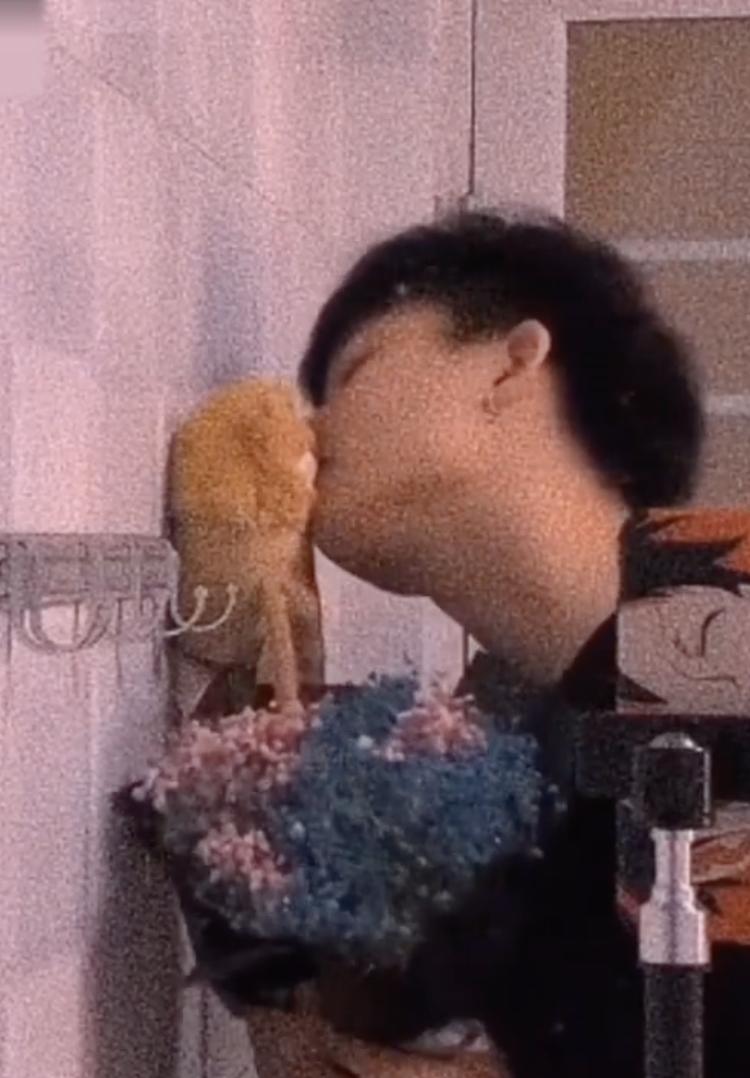 武林外传原定大结局,武林外传1-100大结局