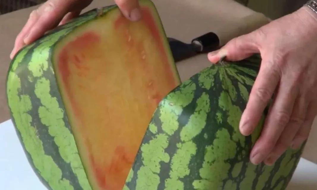 全世界最贵的6种水果,全世界最贵的六种水果