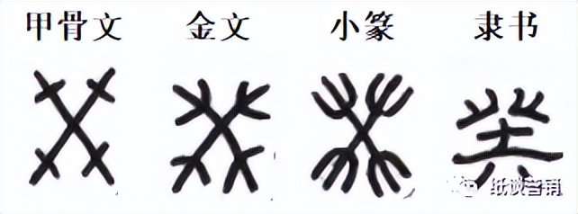 十天干象意详解,十天干冲合口诀