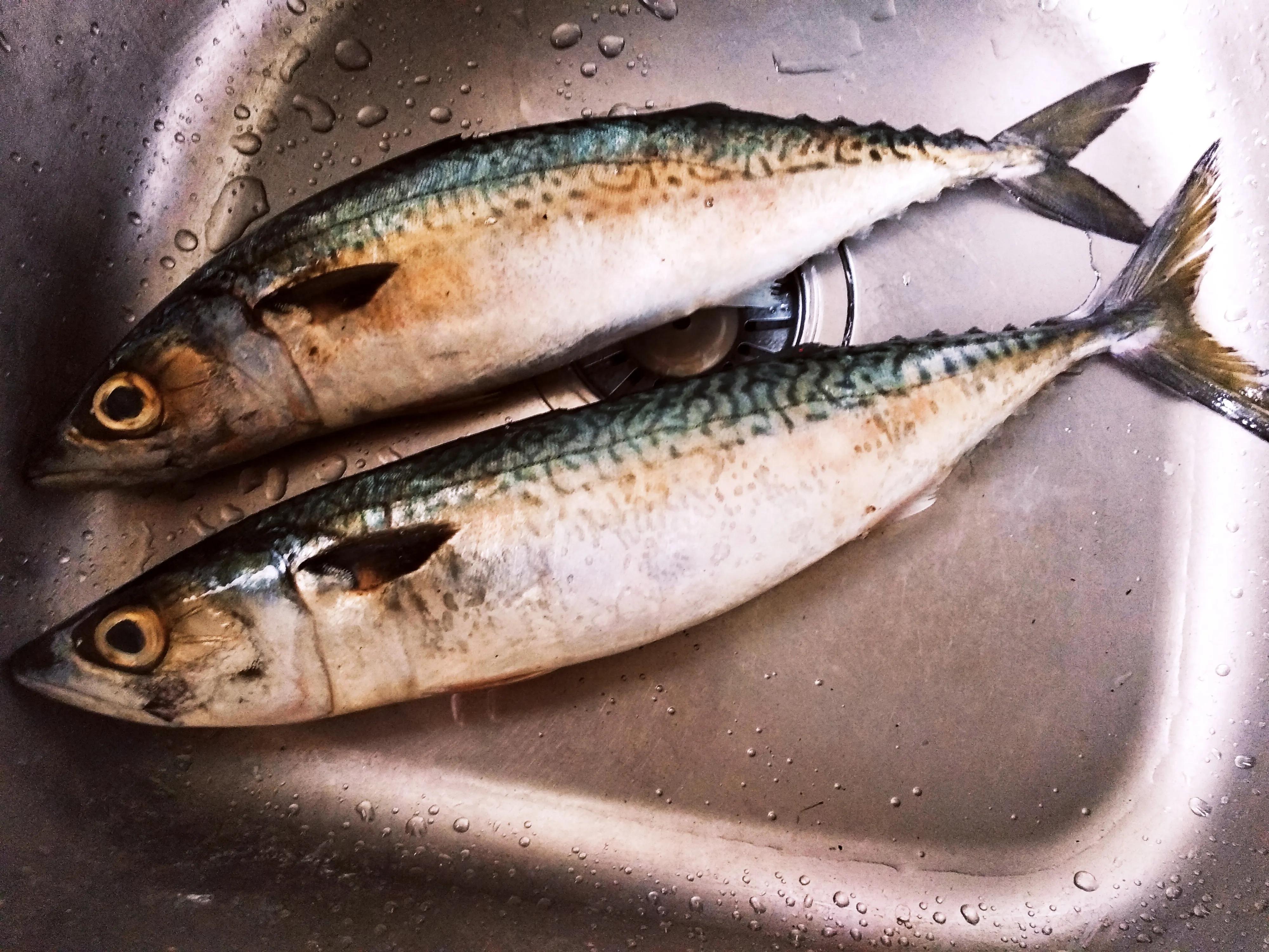 夏天吃海鱼，内行专挑这5种，肉鲜不腥无法养殖，摊主都夸是行家