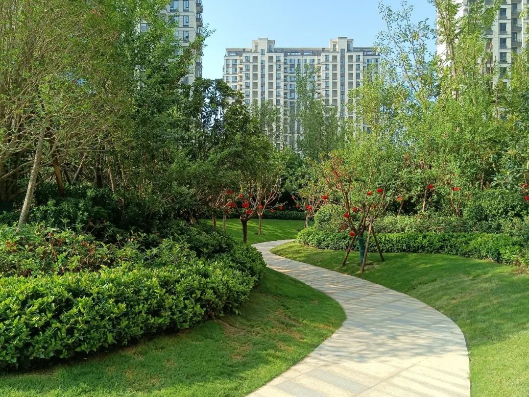 开封永威房产怎么样啊,永威置业在郑州最好的楼盘是哪