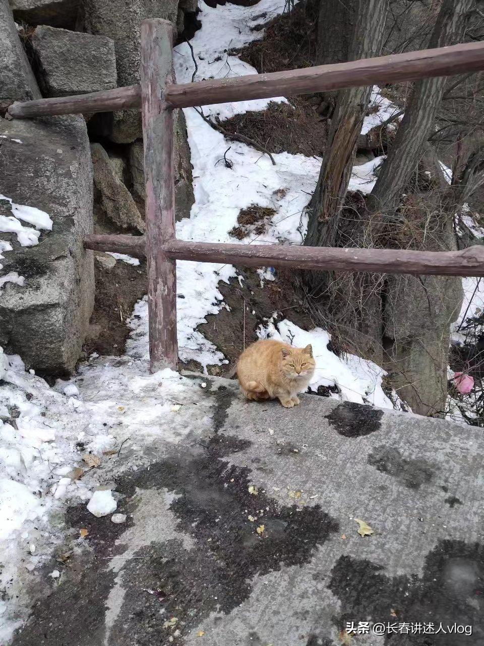 长春到西安,穷游旅游攻略!附赠导游推荐的西安美食必吃榜单