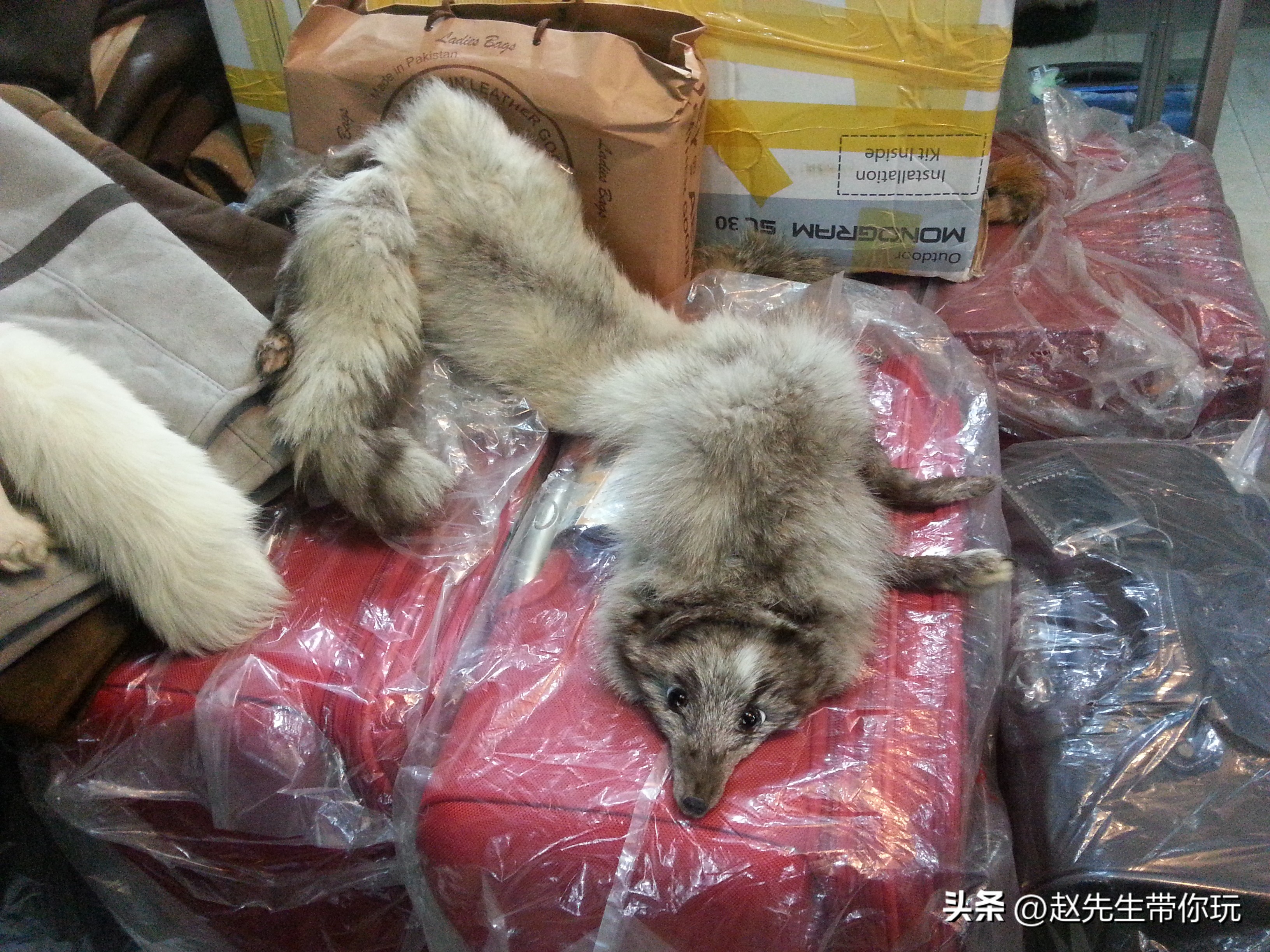 二十年游历分享之269：亚洲48：巴基斯坦38伊斯兰堡11特产4-皮草