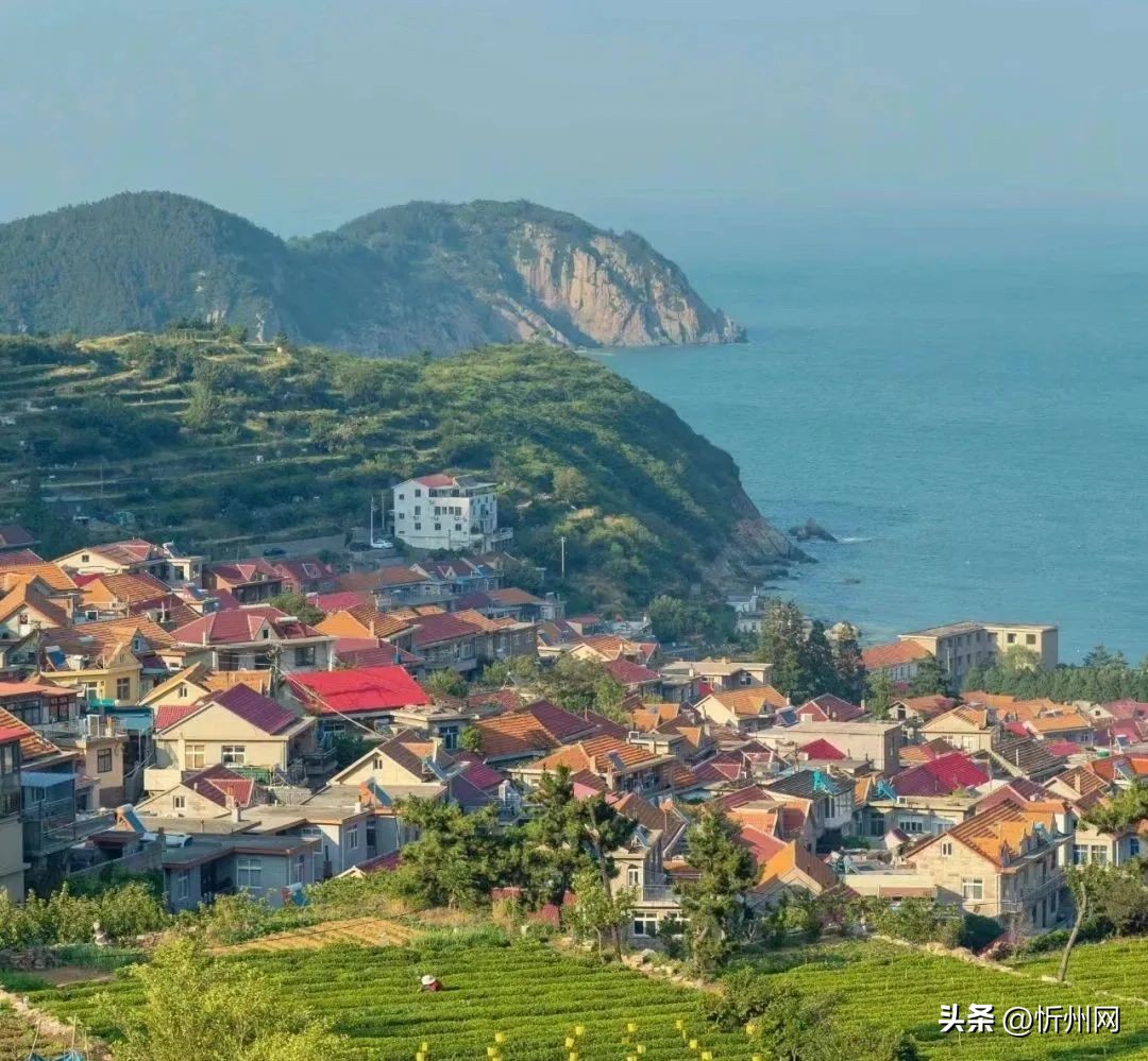 青岛鑫江集团所属楼盘,城阳鑫江集团楼盘