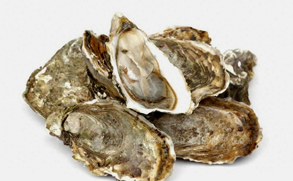 缇庡浗澶勭悊钘ゅ６,缇庡浗娴峰啗钘ゅ６