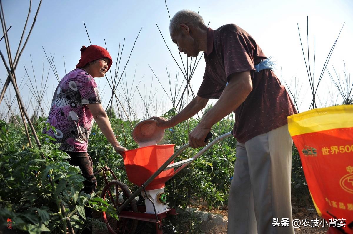 磷肥过量施用会怎样,磷元素缺乏有什么危害