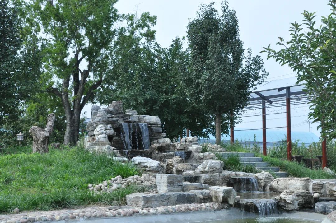 休闲农业与乡村旅游项目分析,休闲农业与乡村旅游什么时候开始