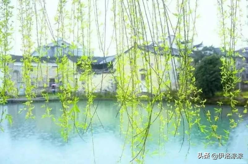 烟雨是指什么季节的雨,烟雨是仄声吗