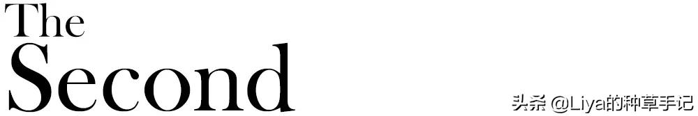 薄绒半裙,薄羊绒半裙的款式