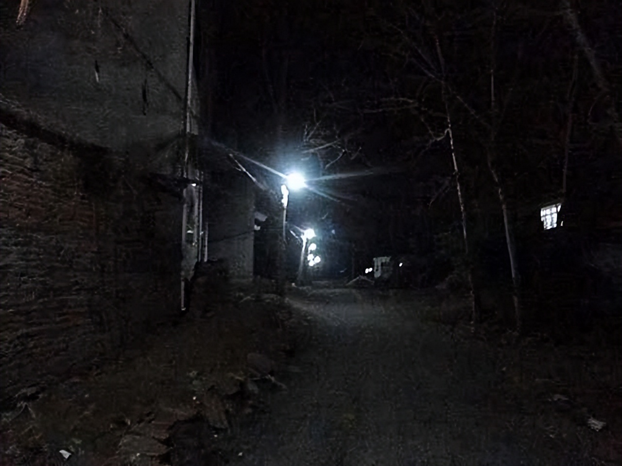 海南巨蟒为报恩甘愿当保姆,两名男子救下巨蟒