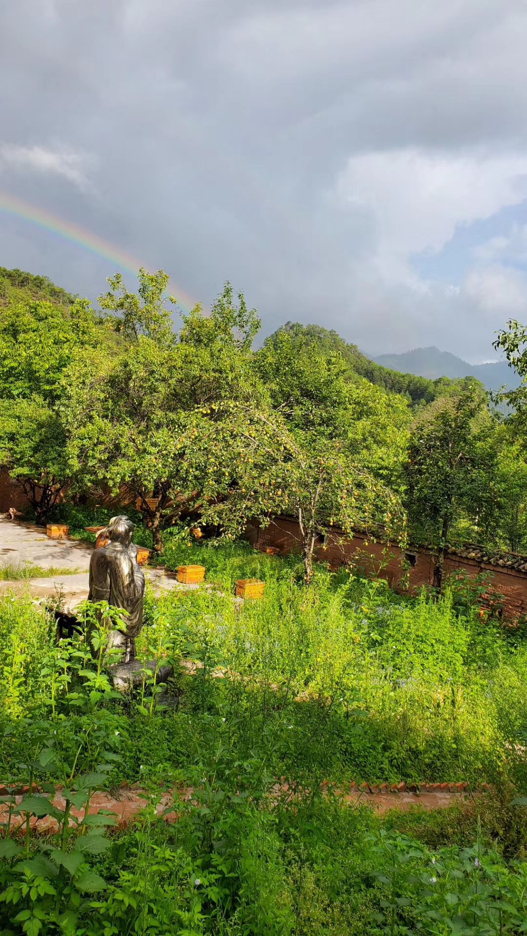 发展中蜂产业助推乡村振兴,养蜂产业如何跟上乡村振兴的步伐