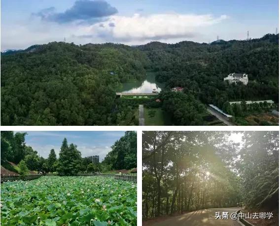 中山市永安中学参观,中山永安中学学校全貌