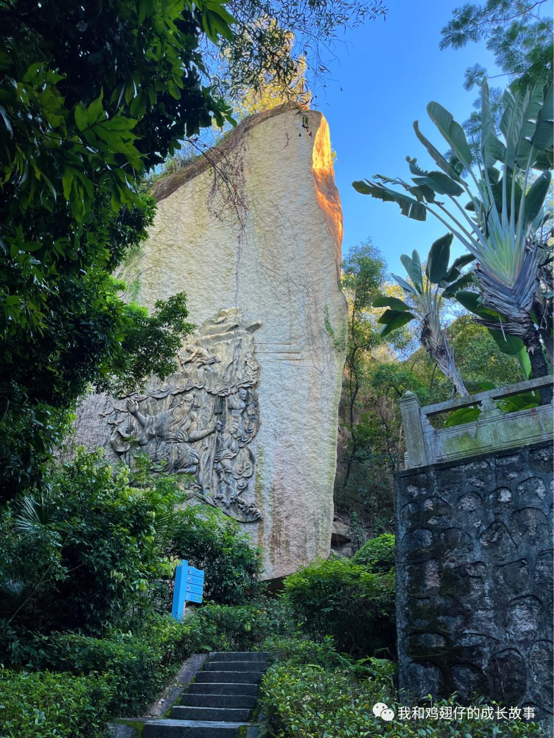 爱美丽深度解读,爱美丽150集免费观看