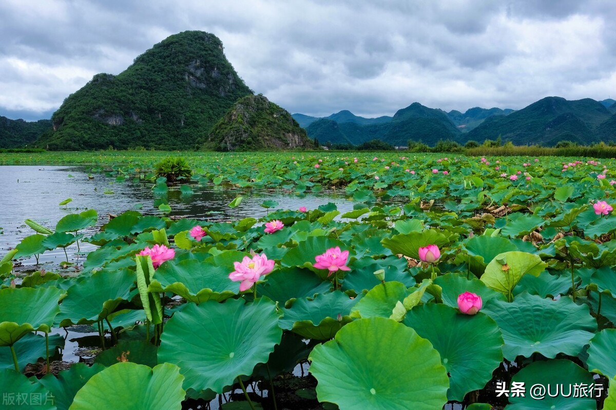 这才是云南最值得去的16个地方,云南最值得去的几个地方