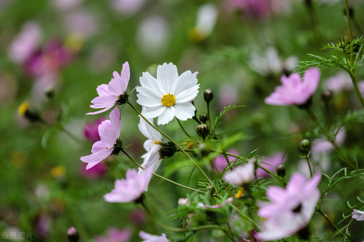 一个人是否爱你冷一下就知道了,男人爱不爱你其实是能感受出来的