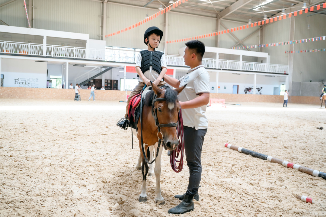 马儿和人互动安全视频,马儿玩耍注意事项