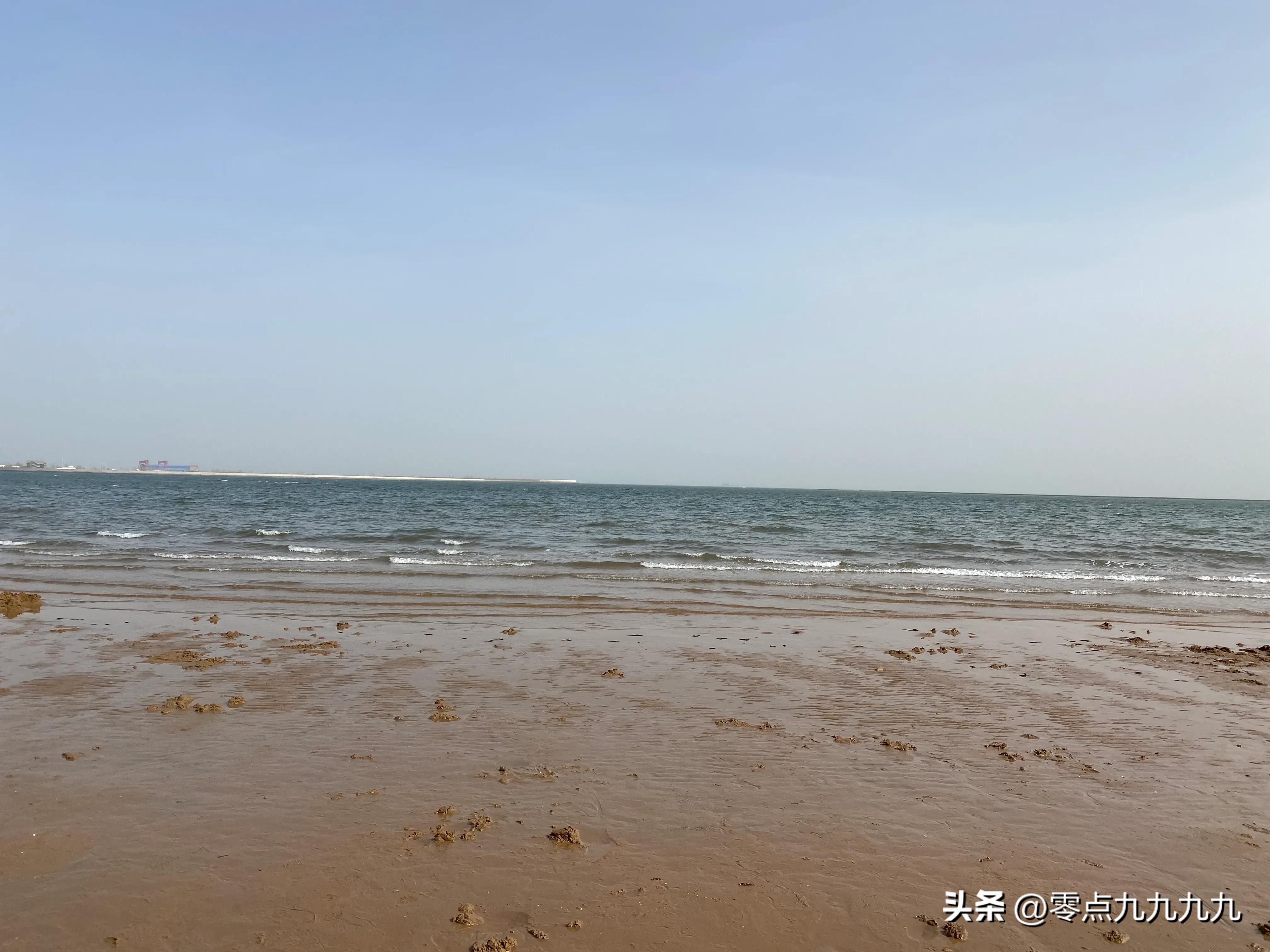 段永平十大重仓股,段永平是如何买股票的