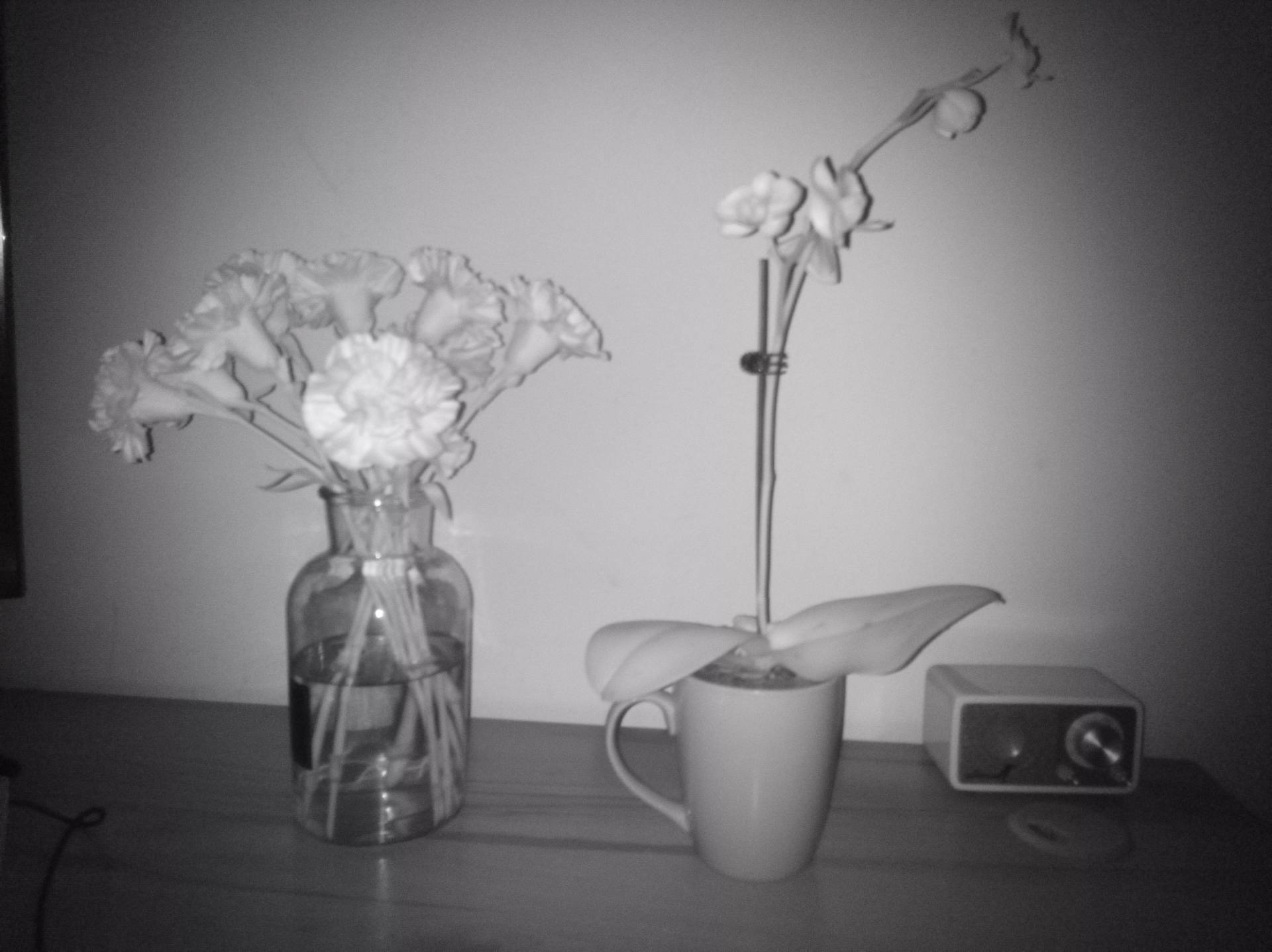 agmh5pro是5g手机吗,华为防水防摔的手机哪一款比较好