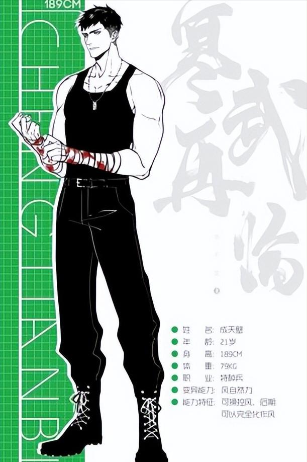 温柔人妻技术宅受x面瘫特种兵攻--纯爱推文