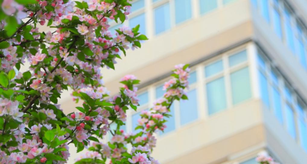 录取分数不高且好就业的五所大学,高考就业比较有保障的二本大学