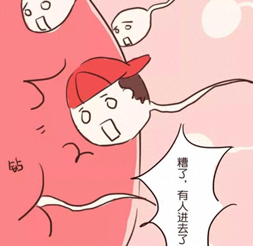 失落的小勇士们,踏上了怀孕之路