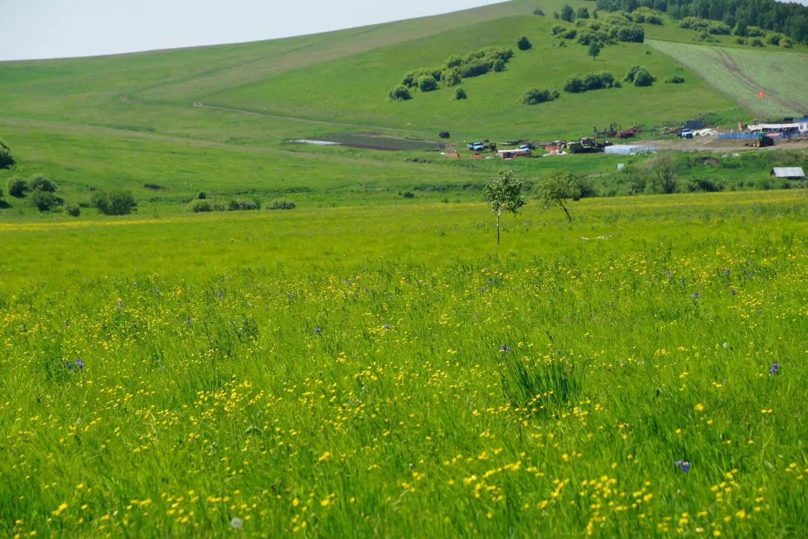 回忆录完整版结局,回忆录电视剧全集