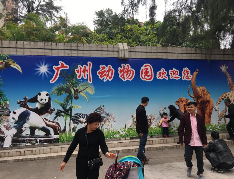 广州番禺动物园门票价目表,广州番禺香江动物园门票多少钱