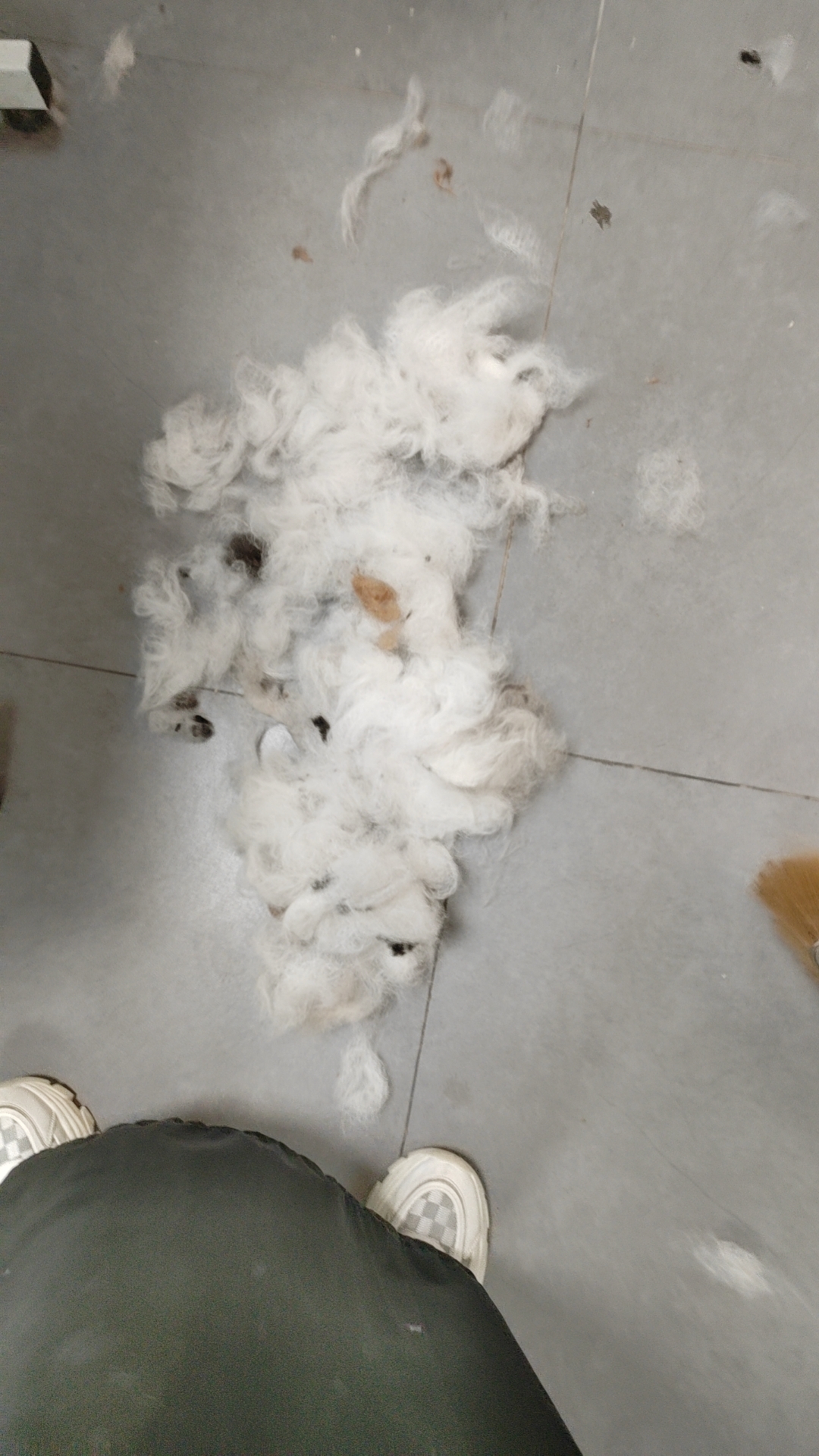 猫咪洗澡掉毛严重怎么办,猫咪身上掉毛一块一块的