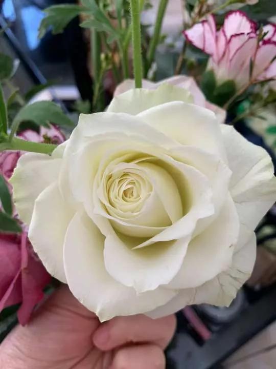 岁月斑驳留下来的都是静好时光,岁月斑驳愿时光静好