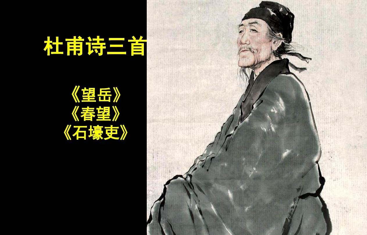 唐代诗人高适的官职是,唐代诗人官职品级一览表