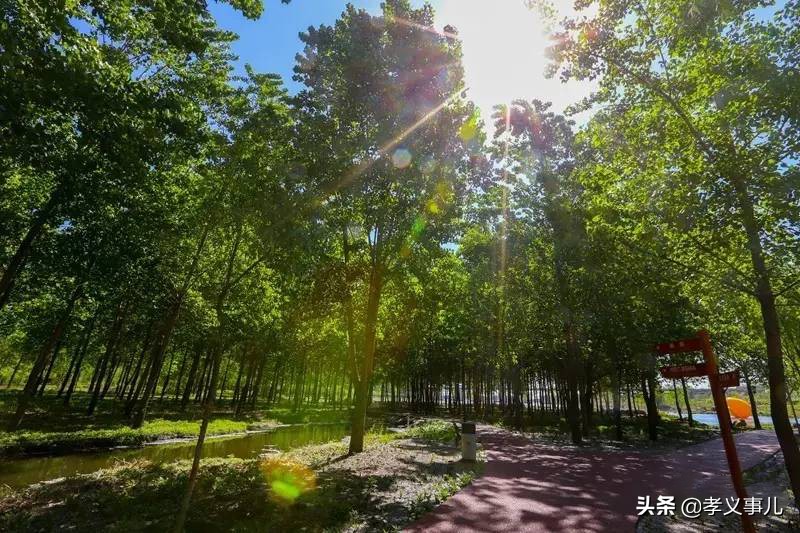 山西孝义：三伏天热成狗？孝义本地最全避暑指南来了，快快收藏