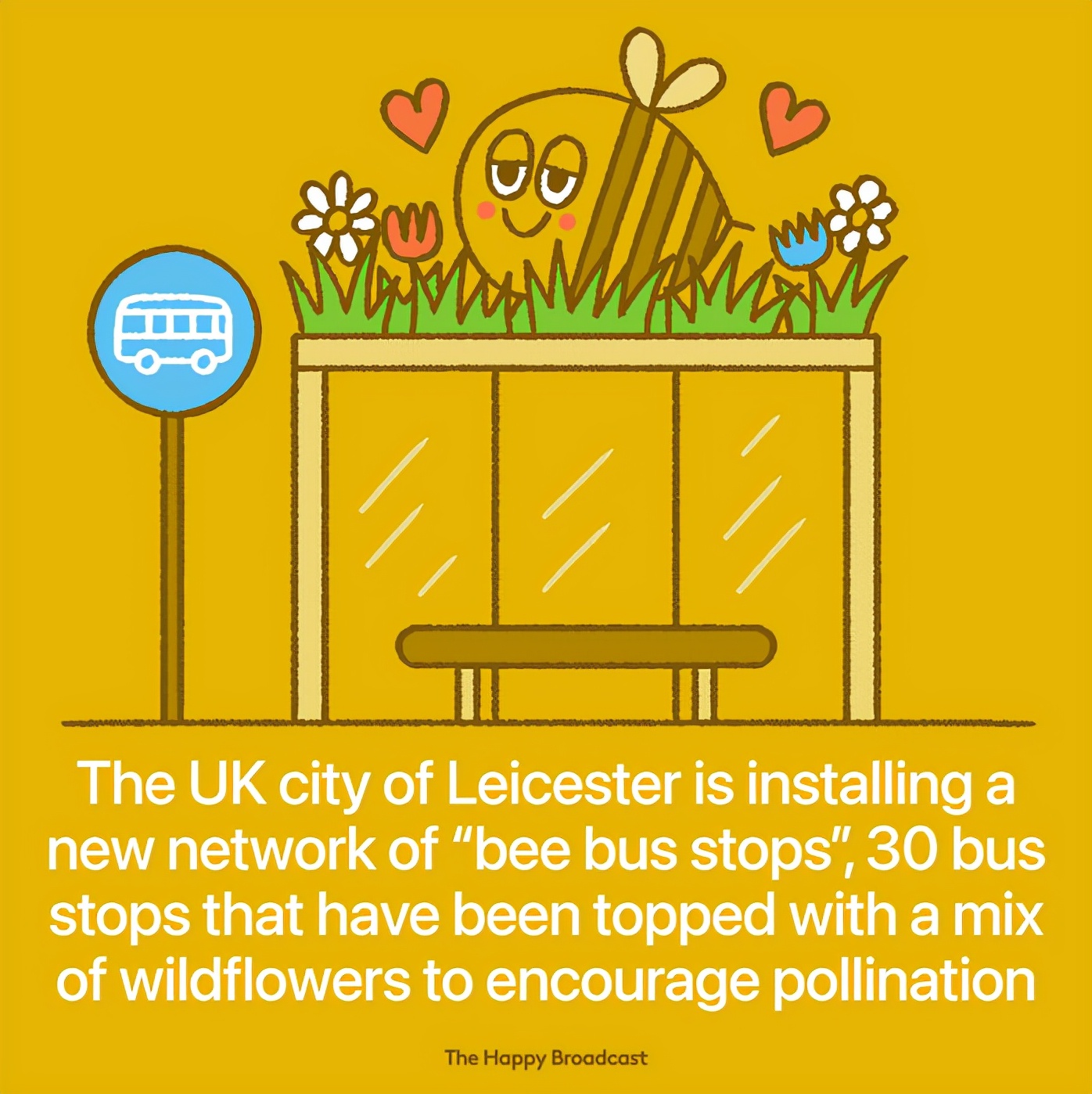 2021年世界如此沉重！可还是有40件美好的事暖如春阳