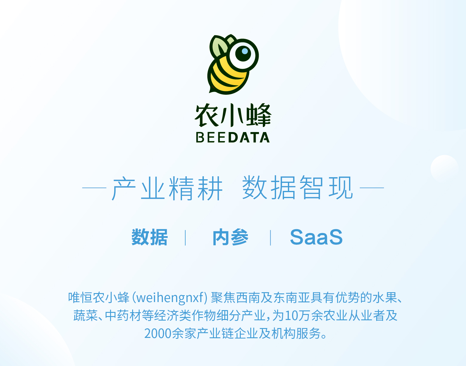 热带新奇特水果,热带奇特水果树