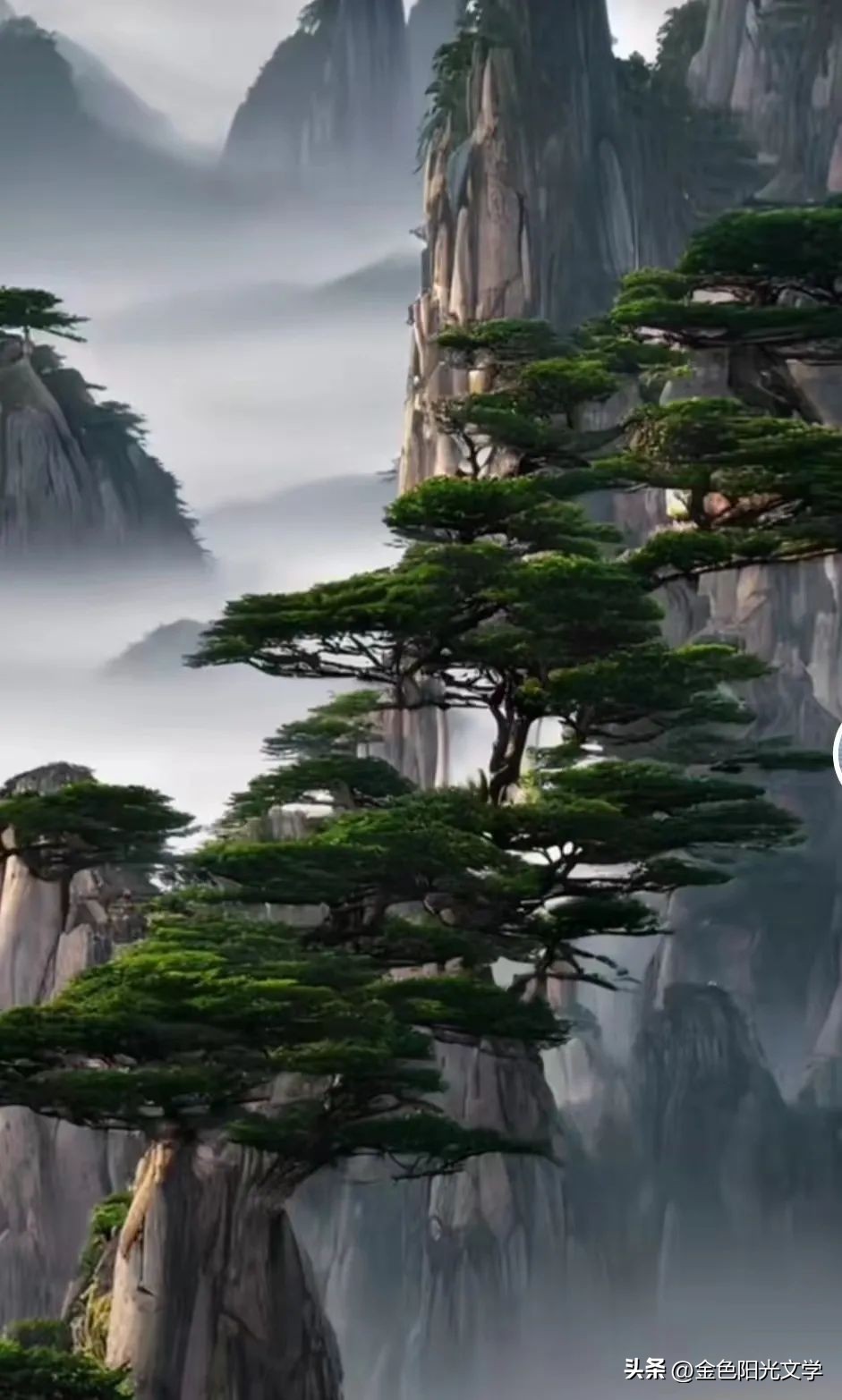 懂交通规则的动物,懂交规的狗