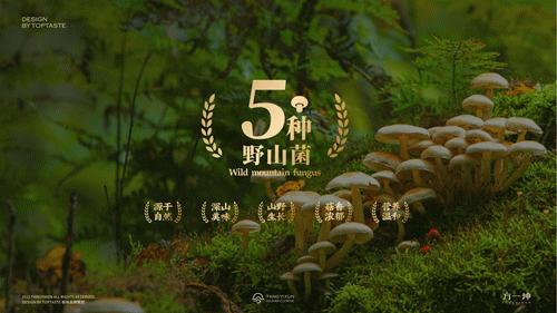 郑州野山菌胡辣汤配方,野山菌胡辣汤哪个牌子的最正宗