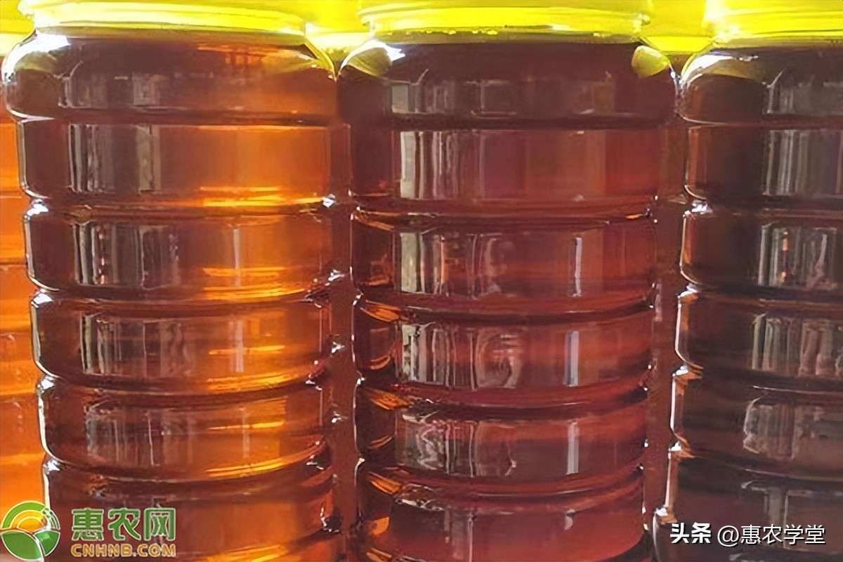 核桃油价格多少钱一斤,核桃油价格一般多少钱