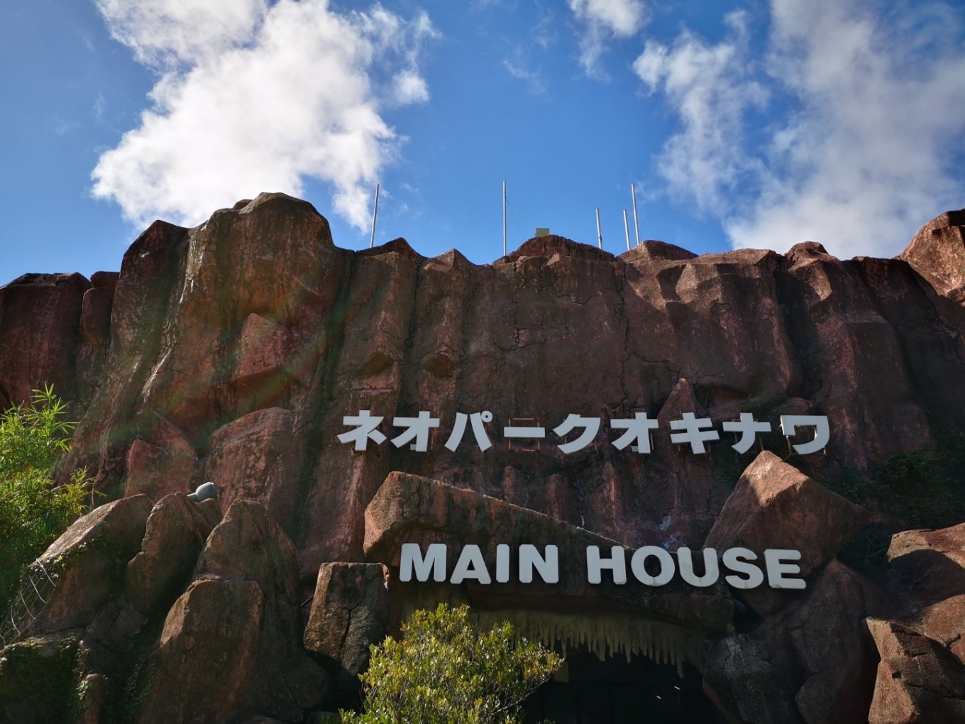 暑期档2019年,2019年暑期档