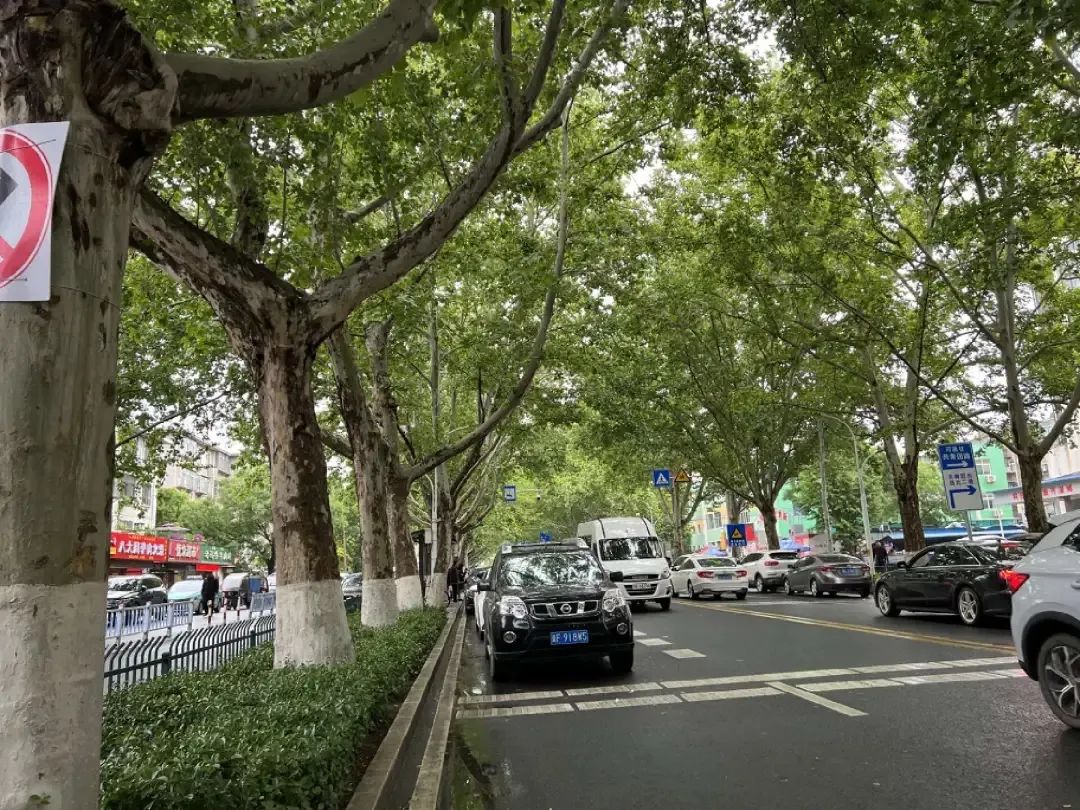 淄博八大局市场如今现状,淄博八大局市场为啥叫八大局