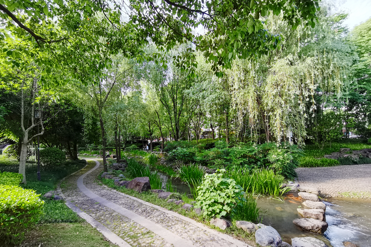 花盆里种不出参天大树——东吴第一任太子孙登成长记