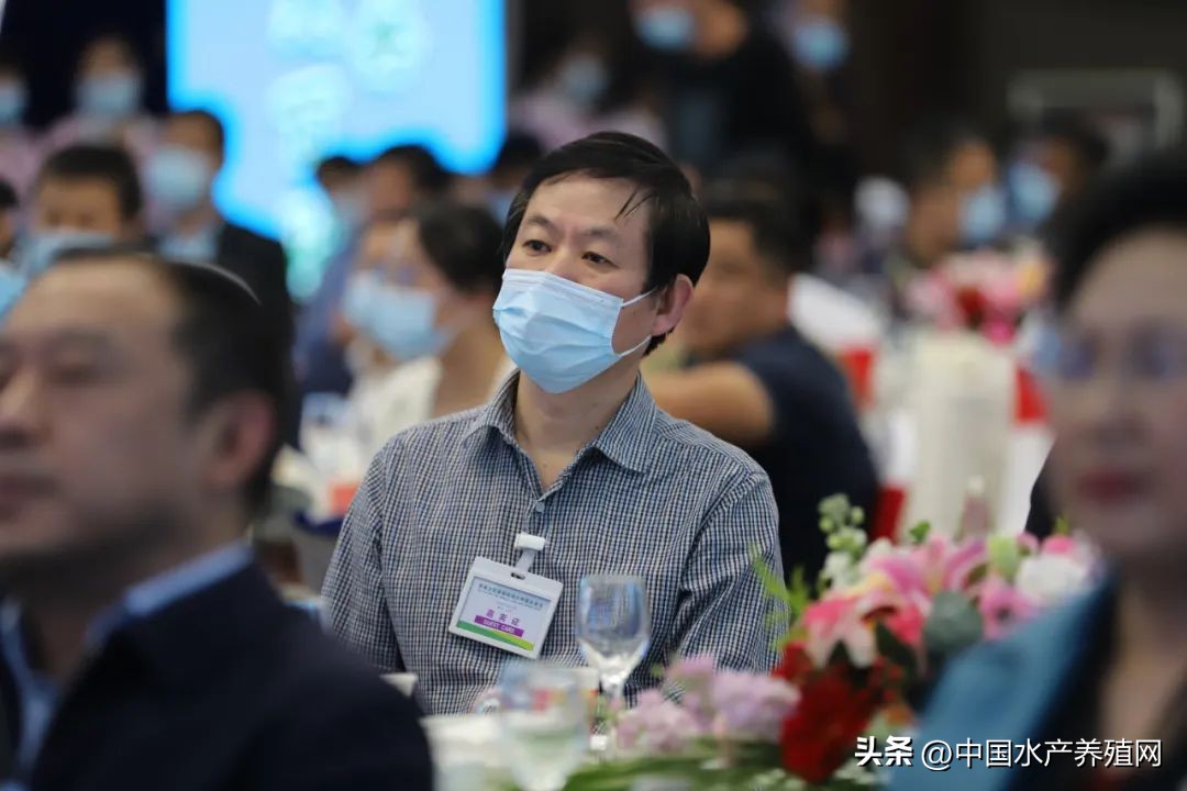 阳澄湖大闸蟹路线图,去阳澄湖大闸蟹攻略路线