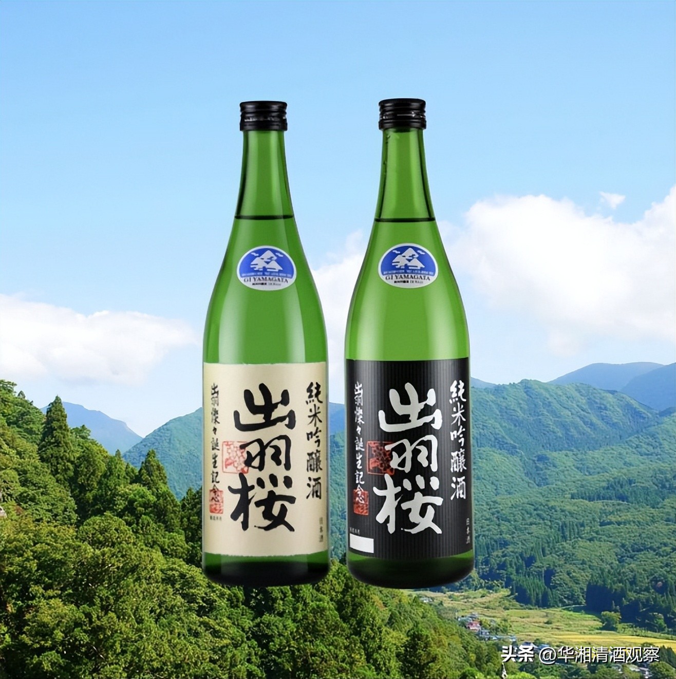 真正的山形地酒——出羽燦燦的诞生纪念