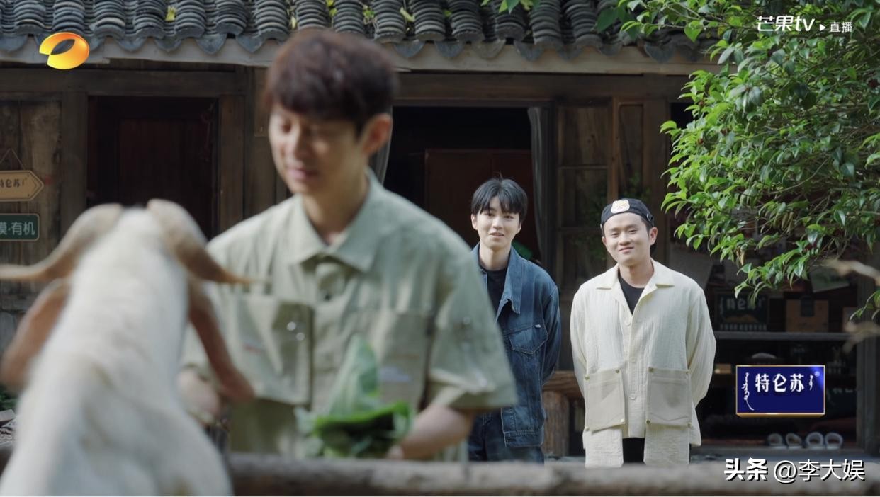 向往的生活7王俊凯就参加一期吗,向往的生活7有王俊凯吗