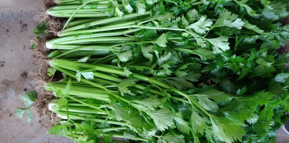 清理肠道对便秘有好处吗,便秘对人体的伤害