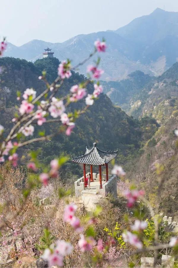 俺莱芜有美景|四季予你诗画香山