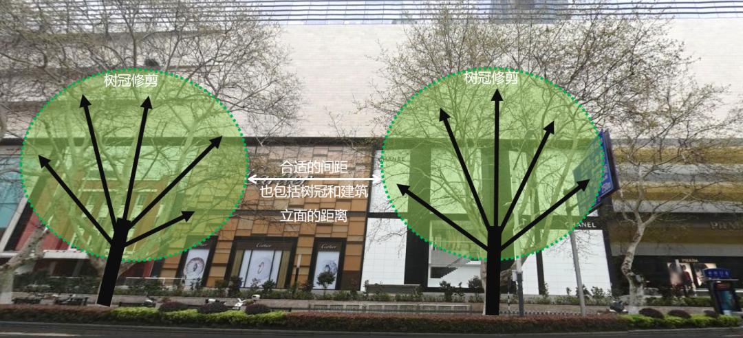 新街口,新街口在哪个区