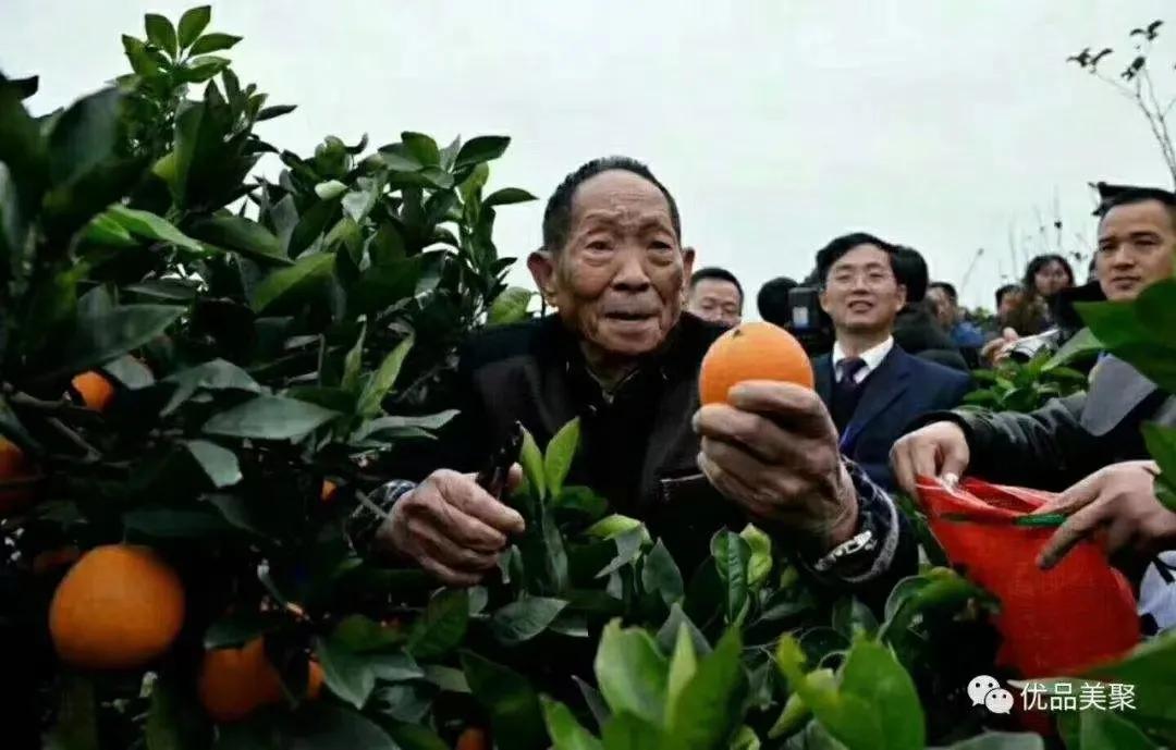 怀化是一个多民族聚居的地方下辖多个民族自治县？你了解嘛？