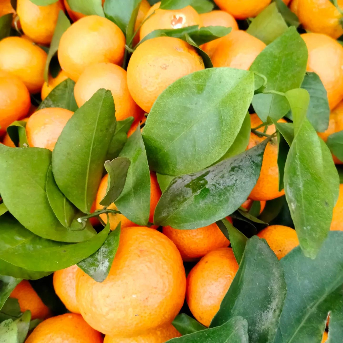 诗歌：穷则思变（作者段民生）