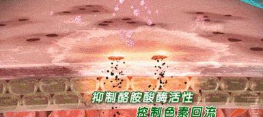 正品新款资生堂悦薇水乳中样套盒,资生堂悦薇水乳2020年双十一